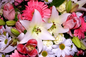 Mixed Flowers Delivery in Pattaya - Flowers-Pattaya