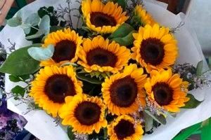 Sunflowerd Delivery in Pattaya - Flowers-Pattaya