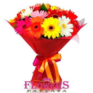 18 Mixed Gerberas - Flower Delivery Pattaya