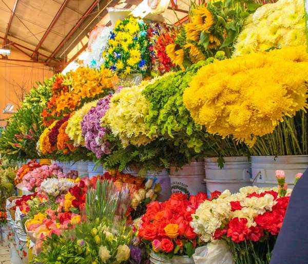 Flower Shop Pattaya - the best choice