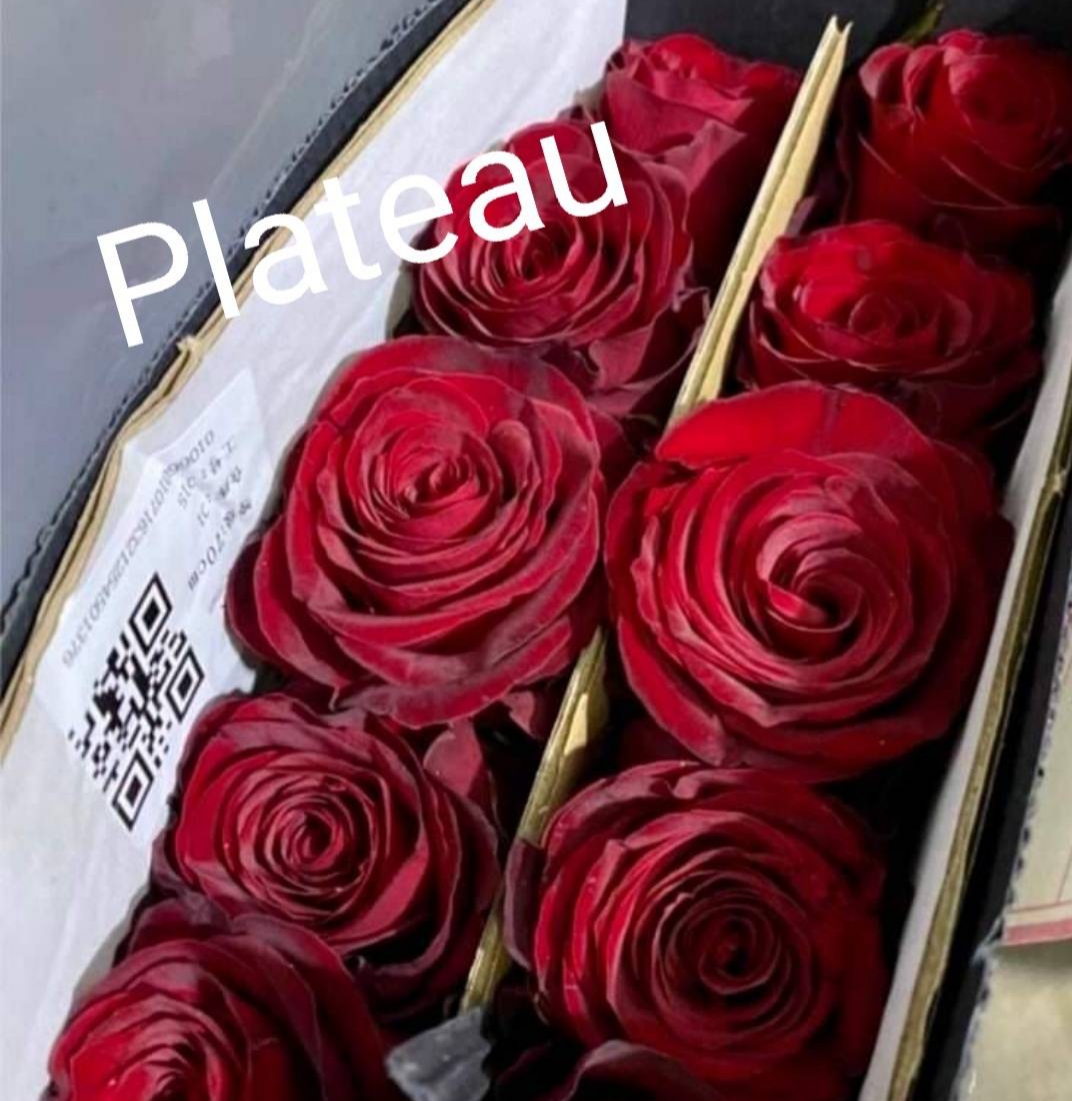 Premium Roses Plateau from Flowers-Pattaya.